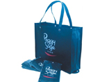 Eco Friendly Reusable & Foldable Handy Tote PP Non Woven Bags
