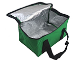 Promotion disposable cooler bag for frozen food
