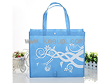 Promotion Event Gifts Foldable Non Woven Bag