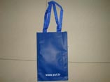 PP Non Woven Bag For Promotion