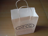 Custom Paper Bags With Logo Print